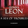 A Sea of Troubles