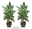 TWO 5' Philodendron Artificial Tropical Plants