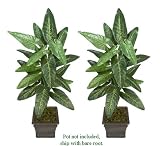 TWO 5' Philodendron Artificial Tropical Plants
