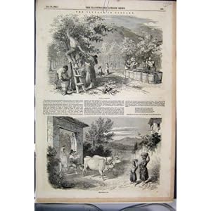 ANTIQUE MISSION STYLE TEA/WINE/LIQUOR CART - TROLLEY