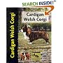 Cardigan Welsh Corgi (Petlove)