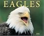 Eagles 2006 16-Month Wall Calendar