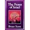 Messianic Judaism and Insight in the New Testament