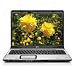 HP Pavilion DV9420US 17-inch Laptop (AMD Turion 64 Processor TL64, 2 GB RAM, 240 GB Hard Drive, Vista Premium)