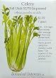 Celery Tall Utah Improved Seeds 250 Seeds