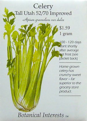 Celery Tall Utah Improved Seeds 250 Seeds