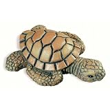 Siro Designs 67-118 Caribe Themed Knob - Green