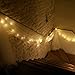 INST 30 Led Battery String Lights for Wedding, Christmas, Parties, etc.(Warm White)