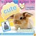 Cute Overload 2009 Calendar