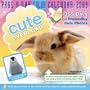 Cute Overload 2009 Calendar