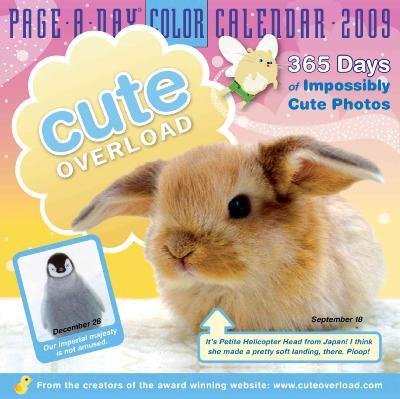 Cute Overload 2009 Calendar