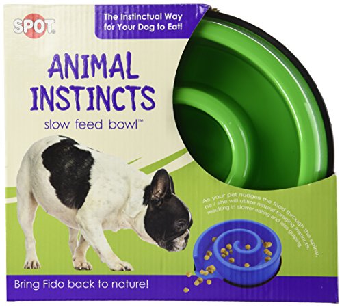 Ethical Pets Animal Instincts Slow Feed Dog Bowl