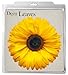 EuroQuest Imports Deco Sunflower Parchment Leaves, Package of 20