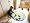 www.kunstofffenster.com - uniTEC 47053 Funk-�berwachungs-Set Rotation silber