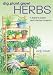 Dig, Plant, Grow! Herbs: A Baker's Dozen Herb Garden Projects