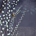 Willow Wren II - 16 x 16"