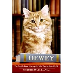 The Small-Town Library Cat Who Touched the World