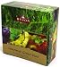"GOURMET COLLECTION" (Green Tea) "HYSON", 60 Teabags and 6 Flavors in Cardboard Carton 90g. Ceylon