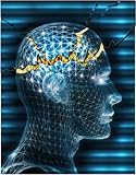 Living With Epilepsy