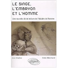 Le singe l'embryon et l'homme une nouvelle cl� de lecture de l'histoire de l'homme