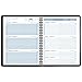 AT-A-GLANCE Daily Appointment Book / Planner 2017, The Action Planner, 8-1/2 x 10-7/8