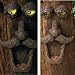 TREE FACE Bird FEEDER moustache outdoor yard ART NEW