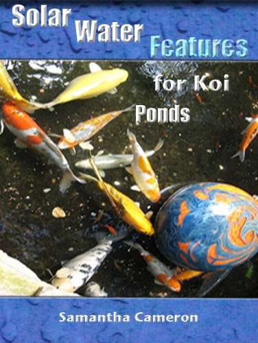 build a koi pond