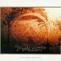 Selected Ambient Works Vol. II (3LP)