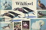 The world of wildfowl