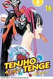 Tenjho Tenge: Volume 16 (Tenjho Tenge)