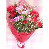カーネーションとかすみ草の花束（生花） FL-MD-02