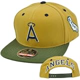 MLB Los Angeles LA Angels American Needle Blockhead Earthtone Snapback Cap Hat