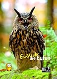 Entdecke die Eulen - Thomas Schmidt
