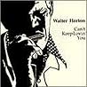 Image of album by Big Walter Horton