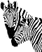 Pair of Zebra Style #2 Vinyl Wall Art Decal
