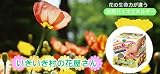 いきいき村の花屋さん/