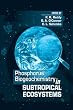 Phosphorus Biogeochemistry of Sub-Tropical Ecosystems