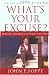 What's Your Excuse? Making The Most Of What You Have by John P. Foppe