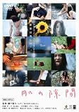 肌の隙間 [DVD]