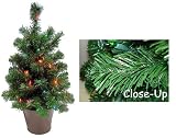 30 Pre-Lit Potted Spruce Artificial Christmas Tree Multi Lights