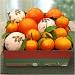 Golden State Citrus Duet Fruit Gift