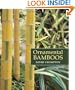 Ornamental Bamboos