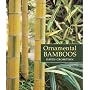 Ornamental Bamboos