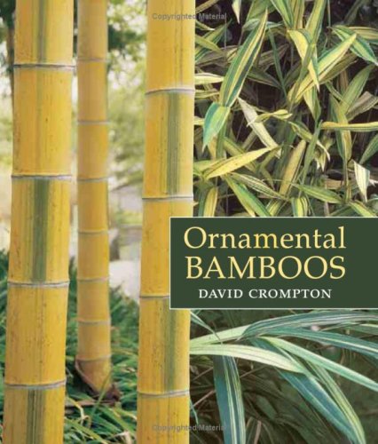 Ornamental Bamboos