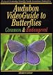 Audubon: VideoGuide to Butterflies Common and Endangered