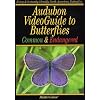 Audubon Videoguide to Butterflies DVD Common and Endangered