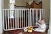 Kitchen & Housewares : Cardinal Gates EGA Extendable Gate with Accessories