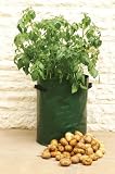 Potato Planter Bag