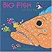 Karl Williams, Big Fish Little Fish, 発売中