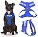 SERVICE DOG (Do Not Disturb/Dog Is Working) Blue Color Coded Non-Pull Front and Back D Ring Padded and Waterproof Vest Dog Harness PREVENTS Accidents By Warning Others Of Your Dog In Advance (L)